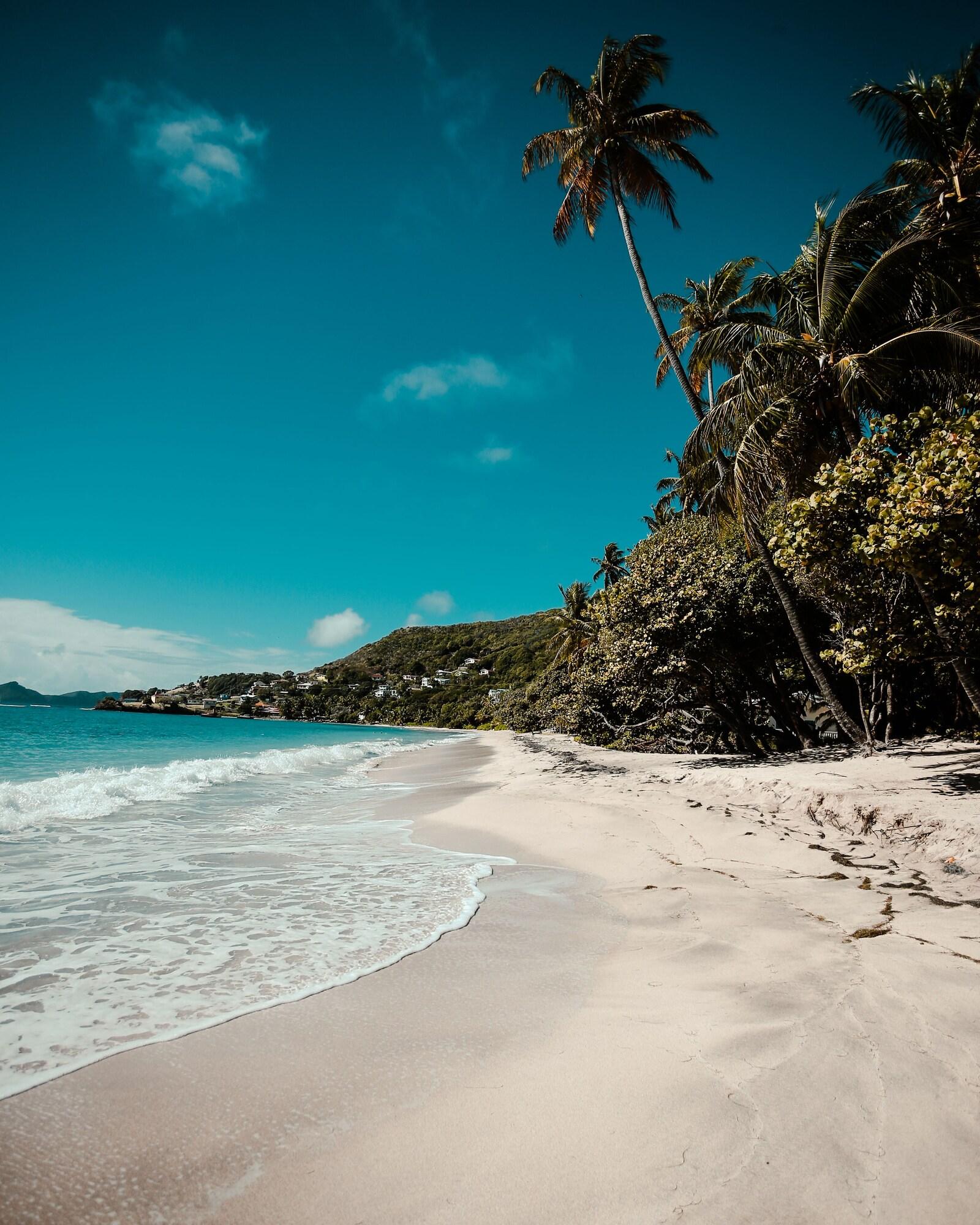 Bequia Beach Port Elizabeth Dış mekan fotoğraf